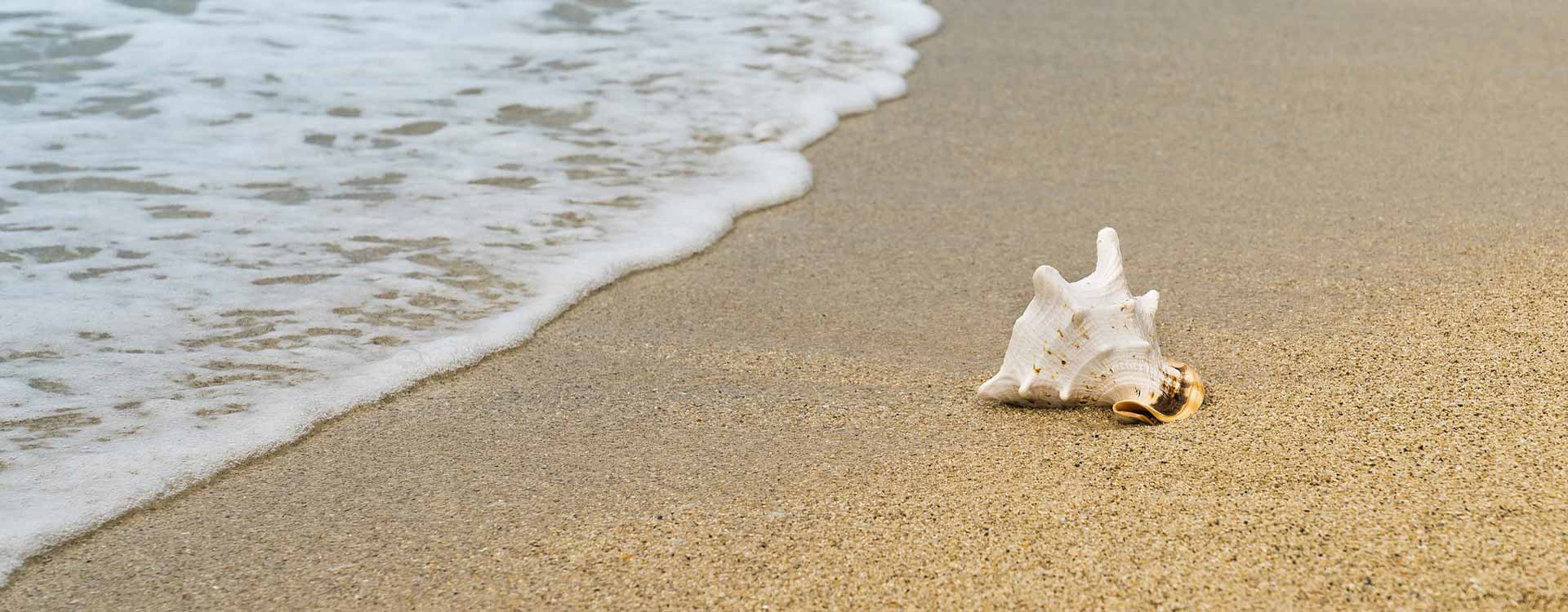 playa les dunes caprici beach hotel spa